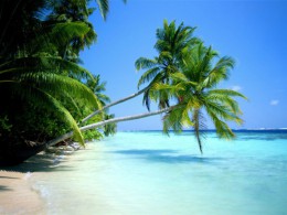 Пляж острова Конрад Рангали
. Мальдивы → Острова → Природа