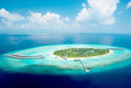 Атолл Гаафу Алифу. Мальдивы → Природа