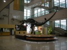 Музей естествознания «Содэмун», Сеул, Южная Корея