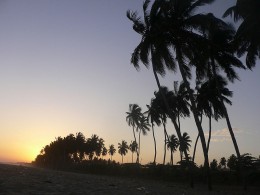 Пляжи. Гана → Аккра → Природа