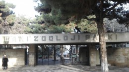 Бакинский зоопарк . Развлечения