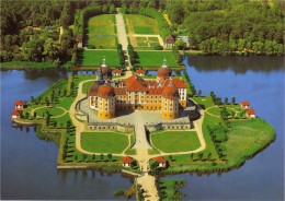 Замок Морицбург. Музеи