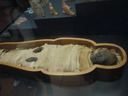 Григорианский Египетский музей