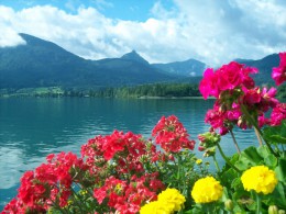 Озеро Вольфгангзее. Австрия → Санкт-Вольфганг → Природа
