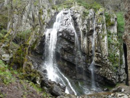 Боянский водопад. Природа