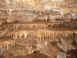 Пещера Духлата. Природа
