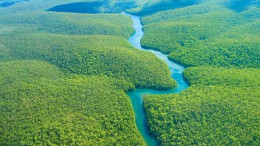 Дождевые леса Амазонии. Природа
