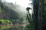 Дождевые леса Амазонии, Манаус, Бразилия