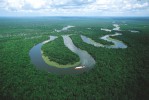 Дождевые леса Амазонии, Манаус, Бразилия