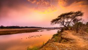 Национальный парк Кафю, Сиавонга, Замбия