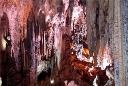 Пещеры Канелобре. Испания → Бенидорм → Природа