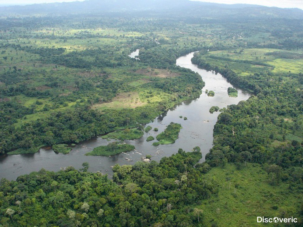 Реки и озера нигерии. Лимпопо река в Африке. Река нигер в Нигерии. Река нигер в Африке. Река Бенуэ.