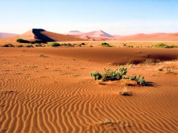 Национальный парк Намиб-Науклуфт. Намибия → Пустыня Намиб → Природа