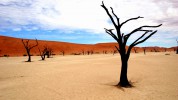 Национальный парк Намиб-Науклуфт, Пустыня Намиб, Намибия