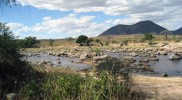 Национальный парк Руаха, Дар-эс-Салам, Танзания