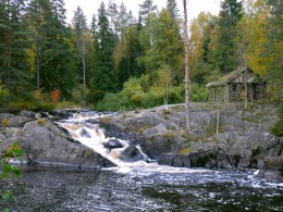 Река Тохмайоки. Финляндия → Кухмо - Кайяни → Природа