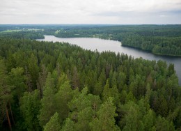 Национальный парк Ауланко. Финляндия → Хямеенлинна → Природа