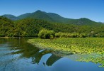 Скадарское озеро, Подгорица, Черногория