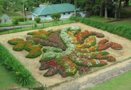Ботанический сад Хакгала. Природа