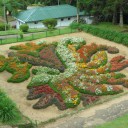 Ботанический сад Хакгала