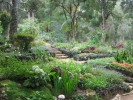 Ботанический сад Хакгала, Нувара Элия, Шри-Ланка