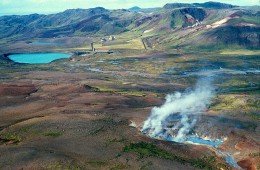Геотермальная область Крисувик. Исландия → Полуостров Рейкьянес → Природа