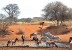 Национальный парк Мокала, Кимберли, ЮАР