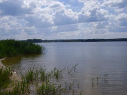 Озеро Тамула. Эстония → Выру → Природа