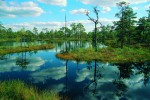 Национальный парк Лахемаа, Йыгева, Эстония