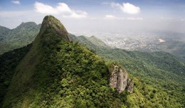 Национальный парк Тижука. Рио-де-Жанейро → Природа