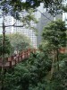 Ботанический и Зоологический сад, Гонконг