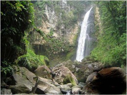Водопад Брэнди. Доминика → Природа
