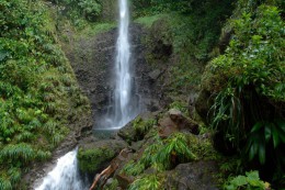 Водопад Мидлхэм. Доминика → Природа