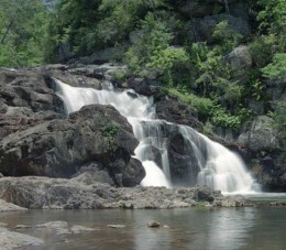 Водопад Ривер Джек. Доминика → Природа