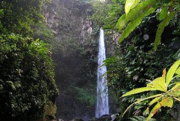Водопад Сари Сари. Природа
