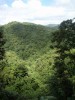 Национальный парк Морн-Труа-Питон, Доминика