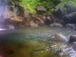 Трафальгарские водопады. Доминика → Розо → Природа