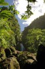 Трафальгарские водопады, Розо, Доминика