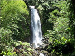 Водопад Бреннер. Доминика → Природа