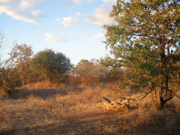 Национальный парк Виктория Фолс. Зимбабве → Водопад Виктория → Природа