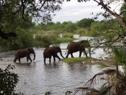 Национальный парк Замбези. Природа