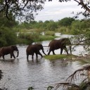 Национальный парк Замбези