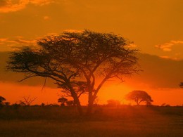 Национальный парк Матобо. Зимбабве → Булавайо → Природа