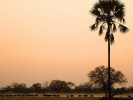 Национальный парк Чизарира, Зимбабве