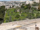 Масличная гора, Иерусалим, Израиль