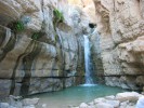 Национальный заповедник Эйн-Геди, Мертвое море, Израиль