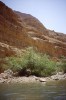 Национальный заповедник Эйн-Геди, Мертвое море, Израиль