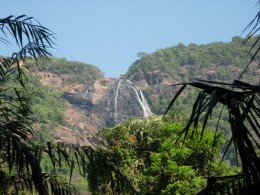 Водопад Дудхсагар. Гоа → Природа