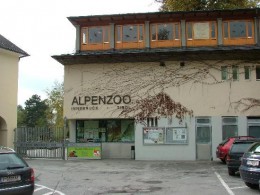 Альпийский зоопарк. Развлечения