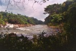 Национальный парк Ваза, Камерун